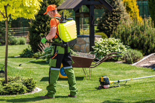 Best Fumigation Services  in Wona Lake, IN